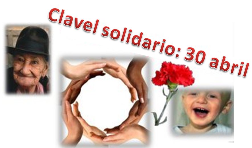 Clavel solidario