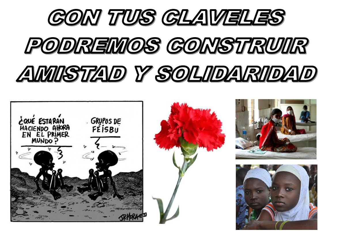 Claveles de amistad