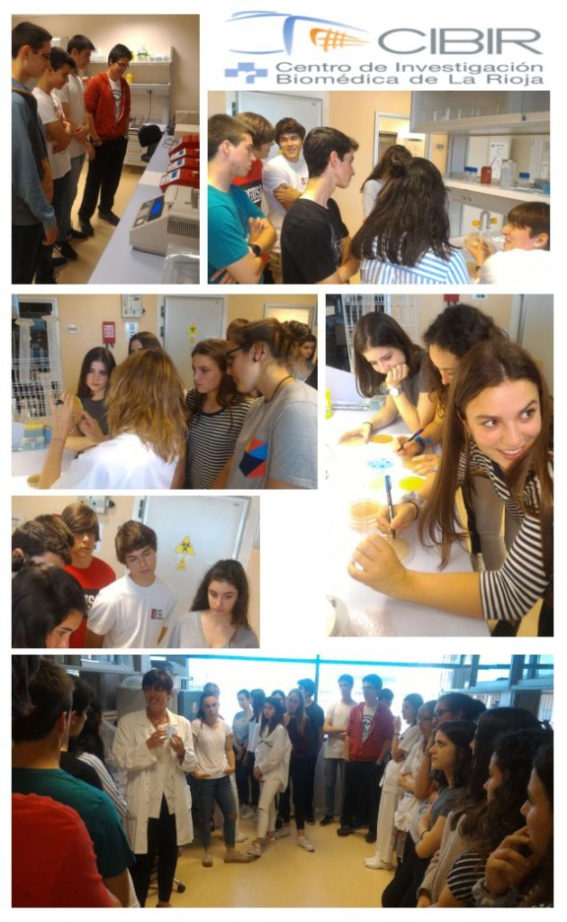 Alumnos del Bachillerato Santa María en el CIBIR