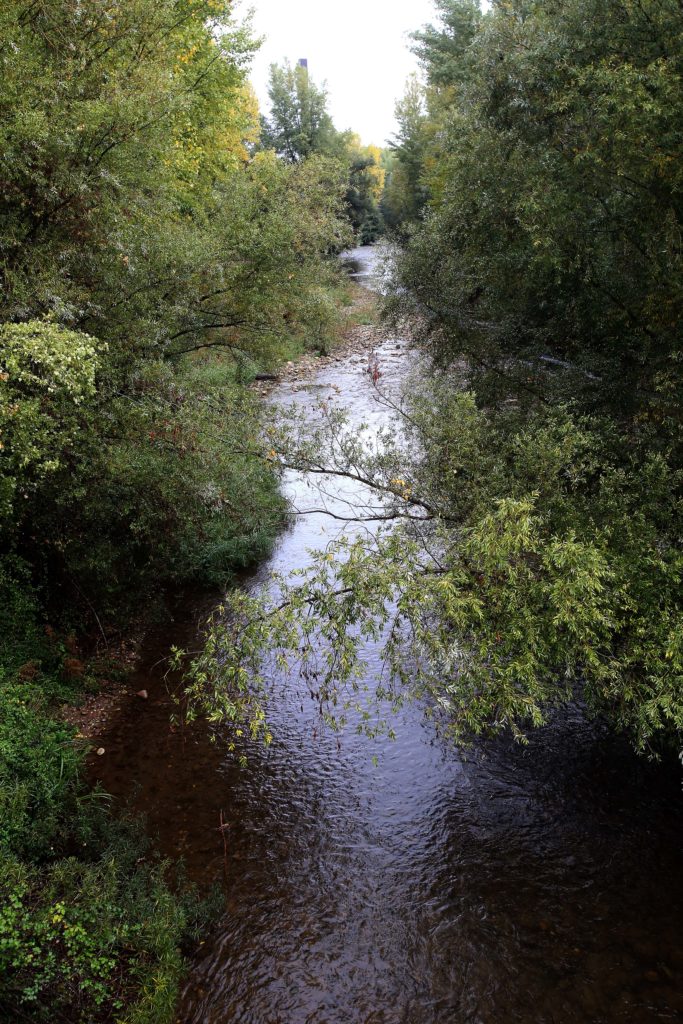 RÍO+IREGUA+EN+OTOÑO