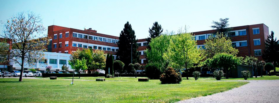Jardines colegio Santamaría Logroño.