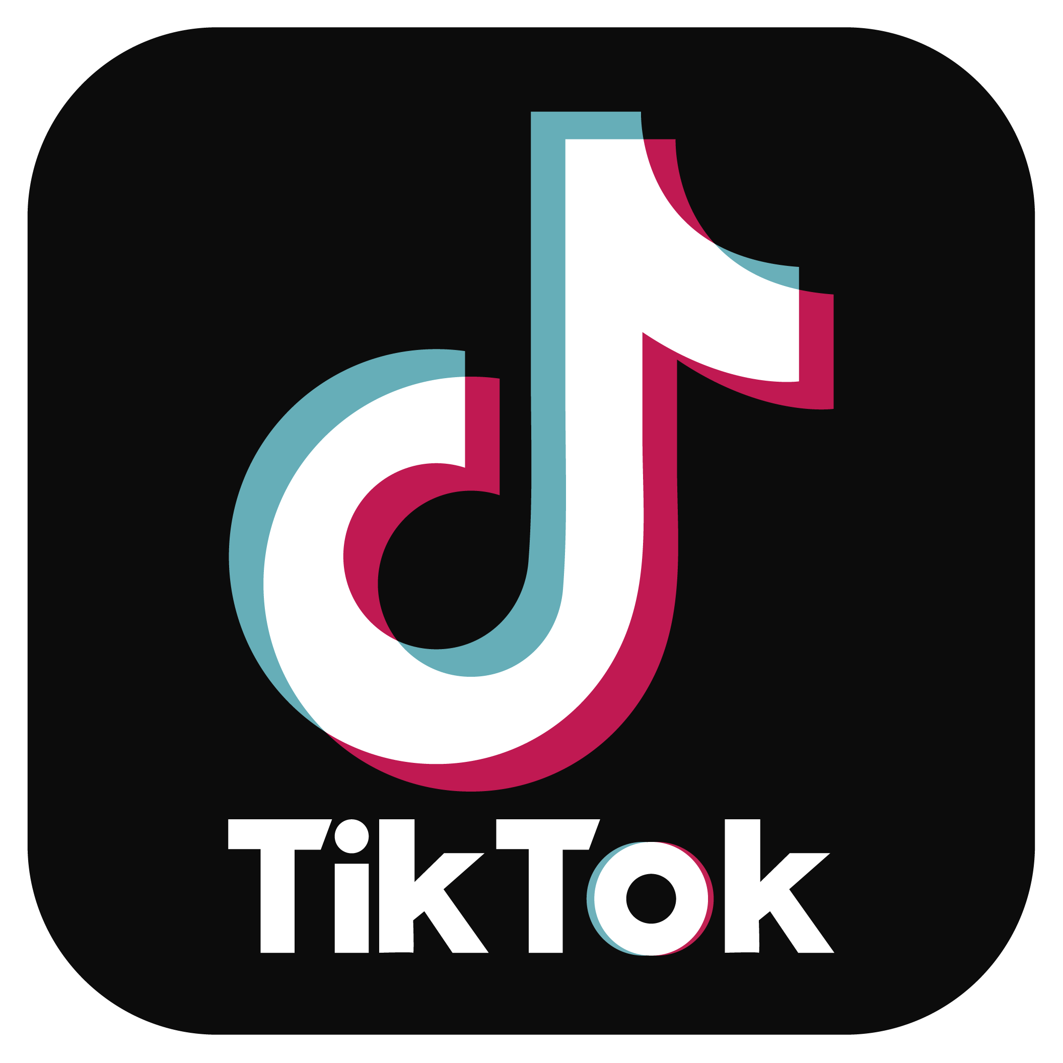Enlace a tiktok
